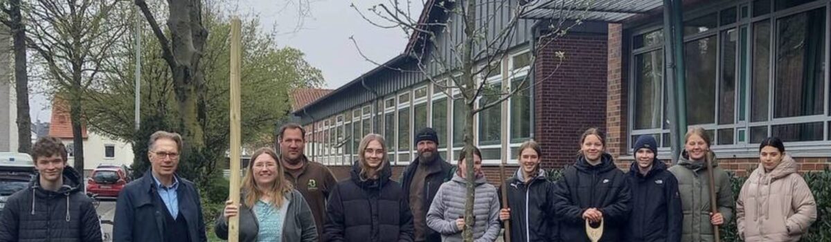 15.06.2025: Streuobstreihe und Wildblumenwiese machen die Schule grüner